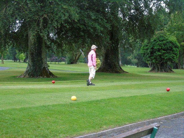 image dsc00835-jpg