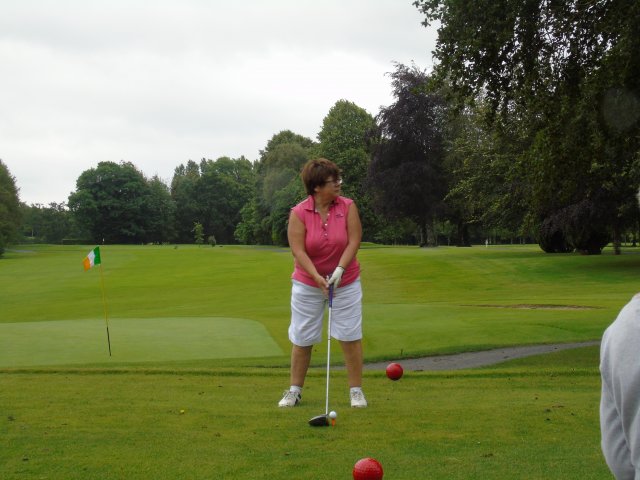 image dsc00838-jpg