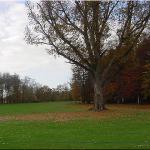 image 14th3-jpg