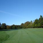 image dsc00160-jpg