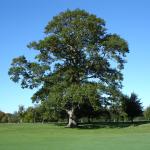 image dsc00166-jpg