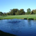 image dsc00169-jpg