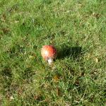 image dsc00173-jpg