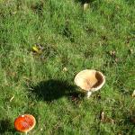 image dsc00174-jpg