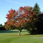 image oct05-jpg
