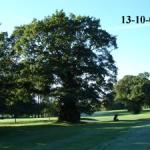 image oak3rd-jpg