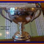 image leinster-boys-open-cup-jpg