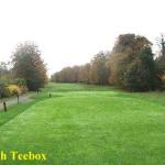 image 7teebox-jpg