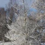 image img_7563-jpg