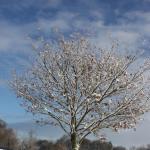 image img_7585-jpg