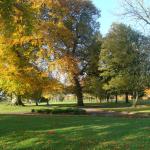 image dsc07567-jpg
