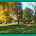 image dsc07567_prv-png