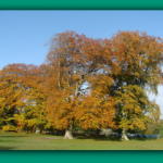 image dsc07574_prv-png