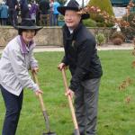 image dsc00747-jpg