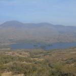 image dsc00580-jpg