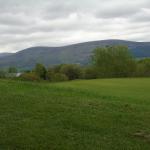 image dsc00616-jpg