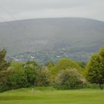 image dsc00618-jpg