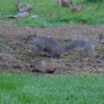 image dsc01111-jpg