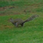 image dsc01114-jpg