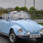 image captainsdrivein2022-10-jpg