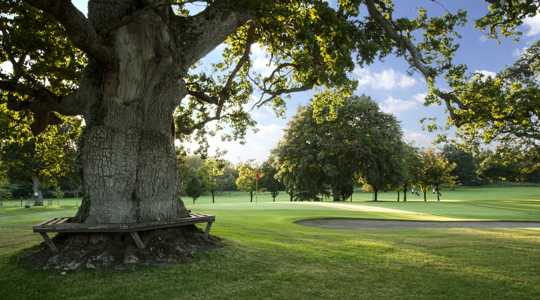 hole-with-tree-seat